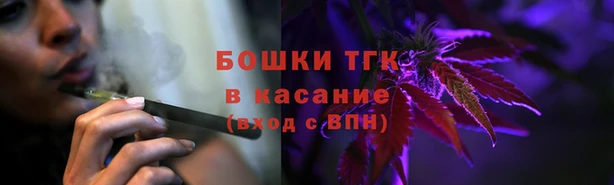 СК Дмитров