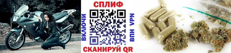 Шишки марихуана план Новопавловск